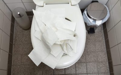 O Que Não Pode Ser Jogado no Vaso Sanitário?